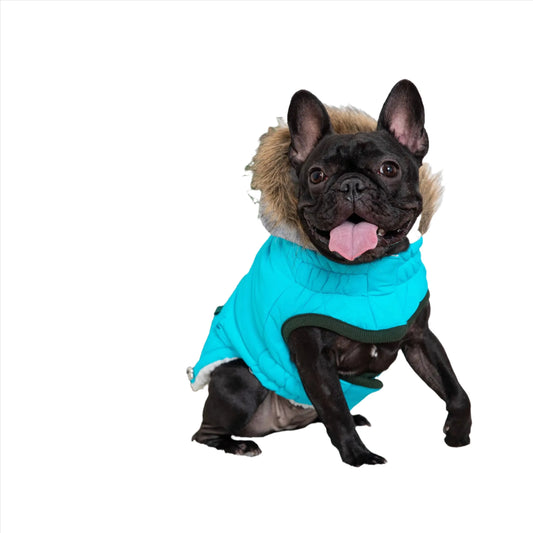 Winter Sailor Parka - Aqua