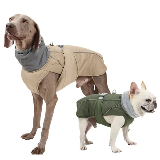 Winter Warmers